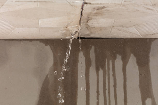 Professional Water Damage Inspection technician working in Orlando, FL